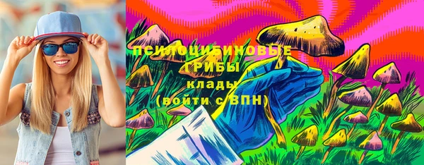 ешки Богданович