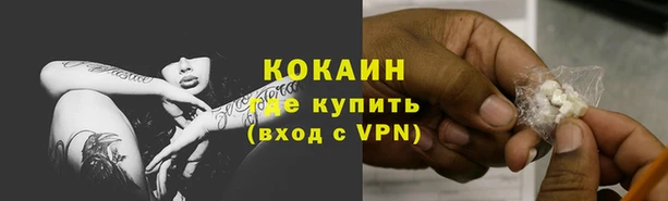 ешки Богданович