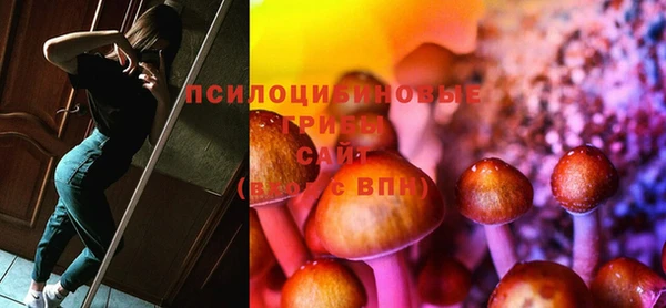 ешки Богданович