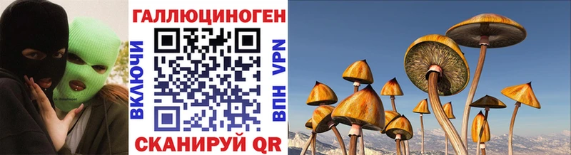 Галлюциногенные грибы GOLDEN TEACHER  купить наркотик  Будённовск 